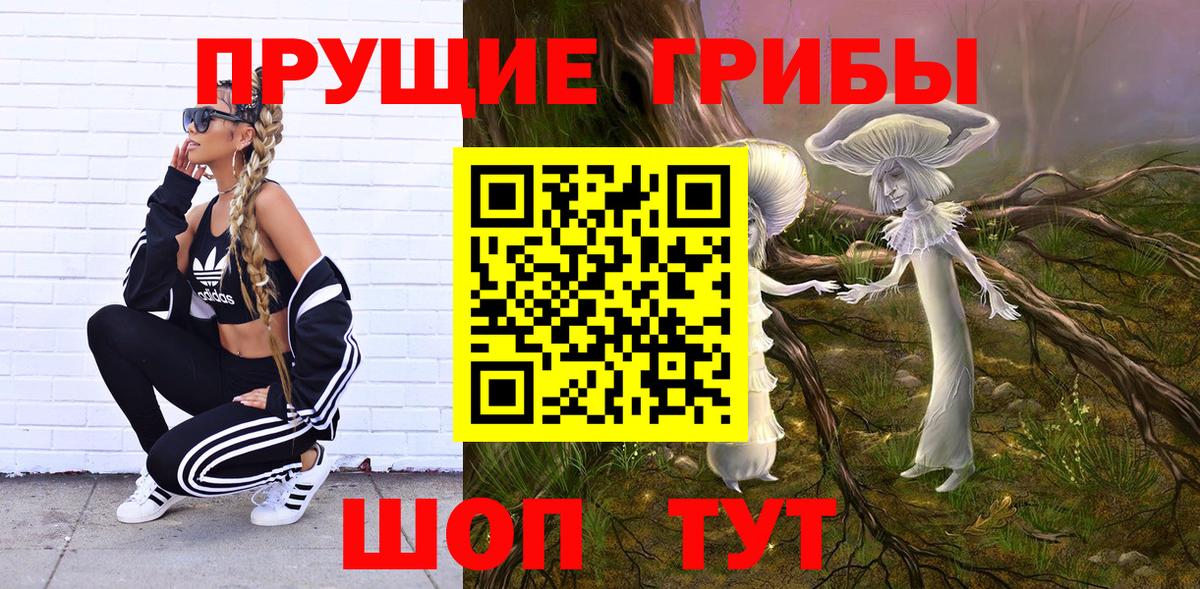 Псилоцибиновые грибы Cubensis  Вход с VPN  Гатчина 